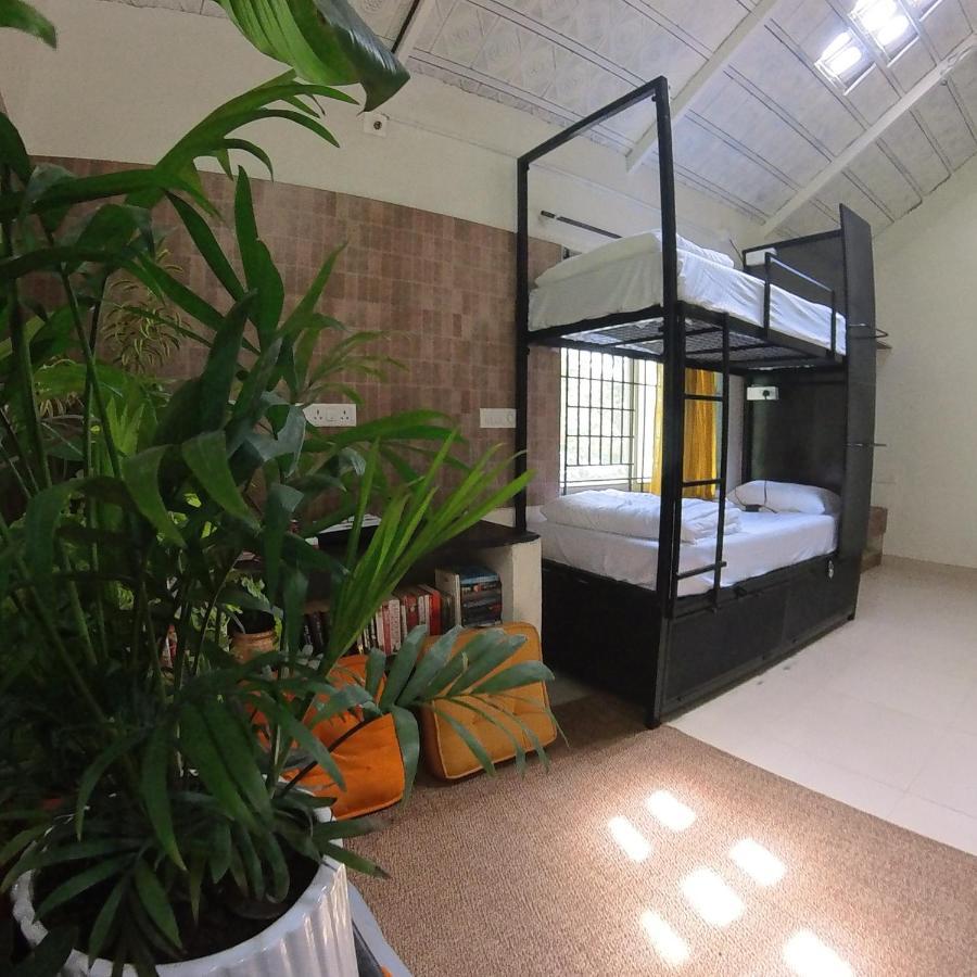 Benomadic Eco Hostel, Madikeri, Coorg Suntikoppa Luaran gambar